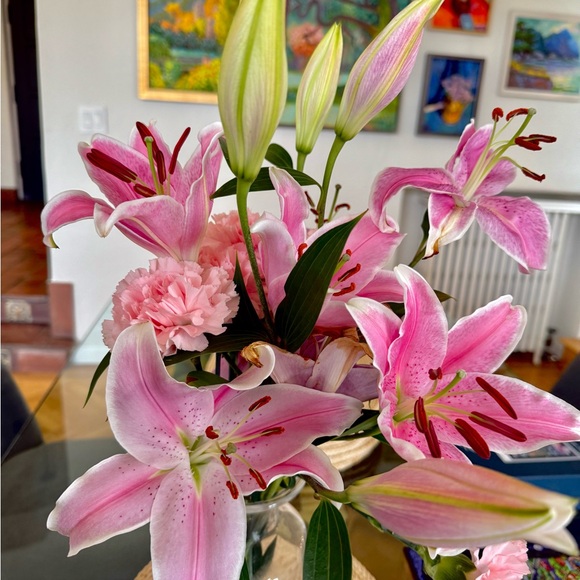 Meet your Posher, Taylor - Picture 1 of 1